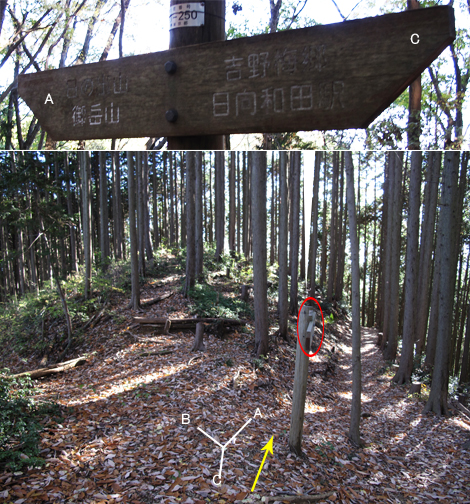 20151127hike (76)